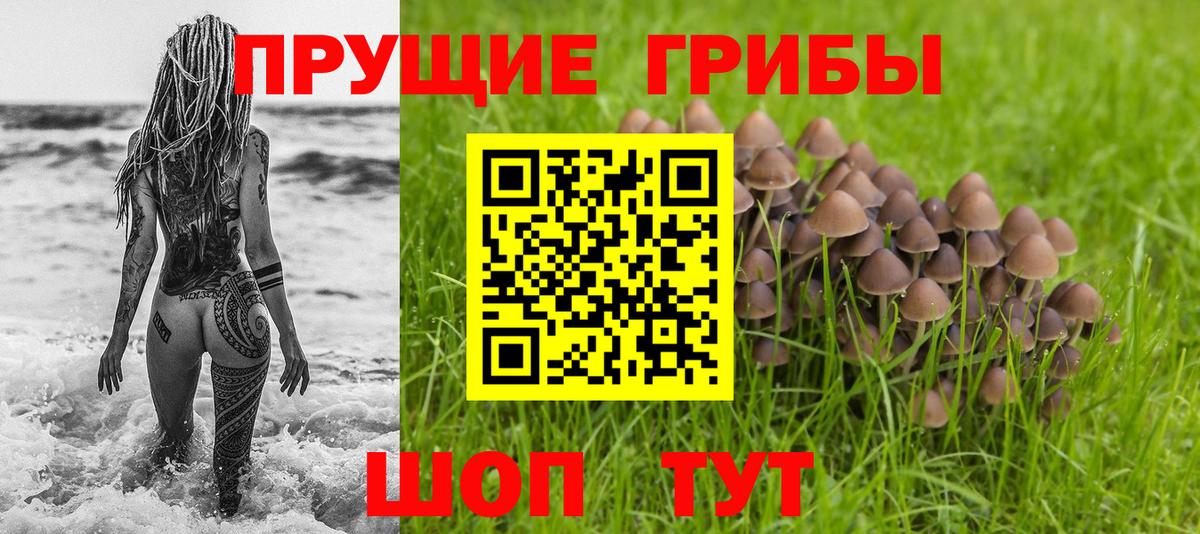 Галлюциногенные грибы мицелий  Вход с VPN  Алатырь 